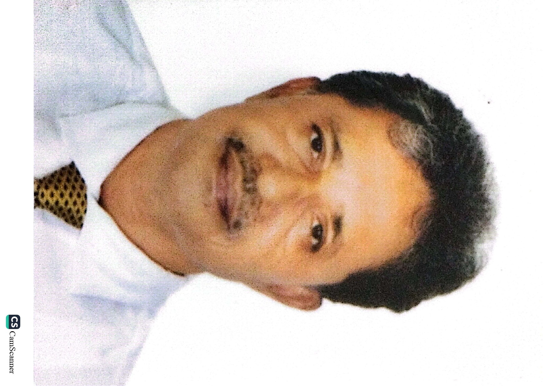Babul