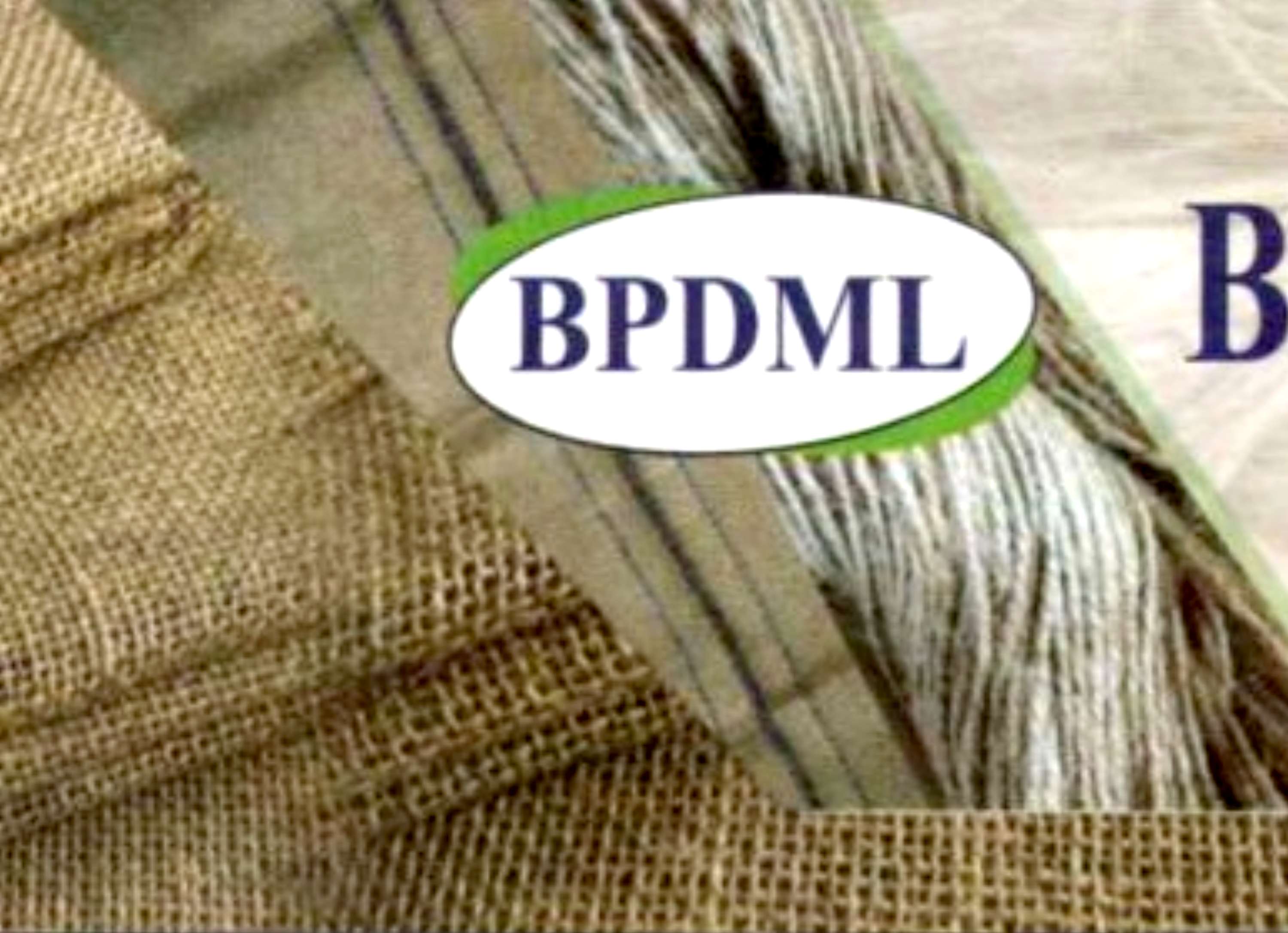Bangla Pat Diversified Mills Limited