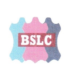 B.S. Leather complex