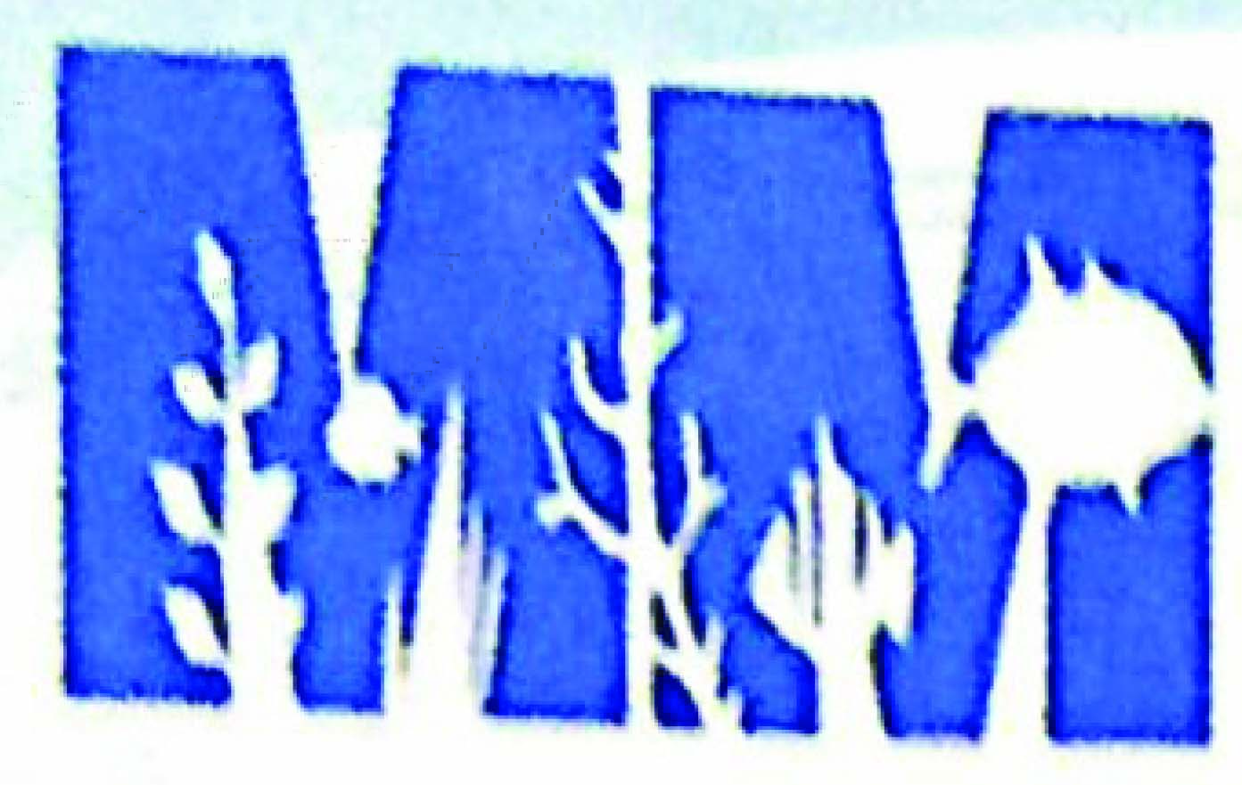 M. M Enterprise