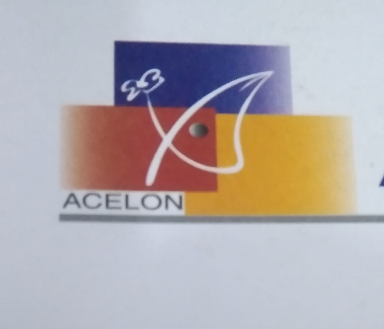 Acelon Knit Fashion Ltd.