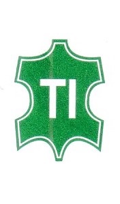 Tisha International