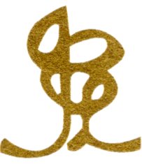 Image Garments Ltd.