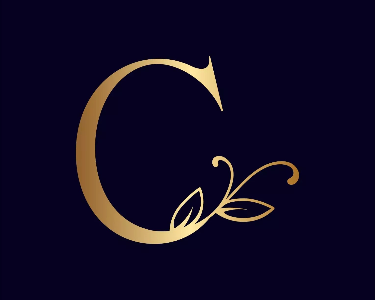 COLOUR & FASHION INDUSTRIES LTD.