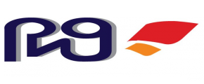 PNG(BD) LIMITED